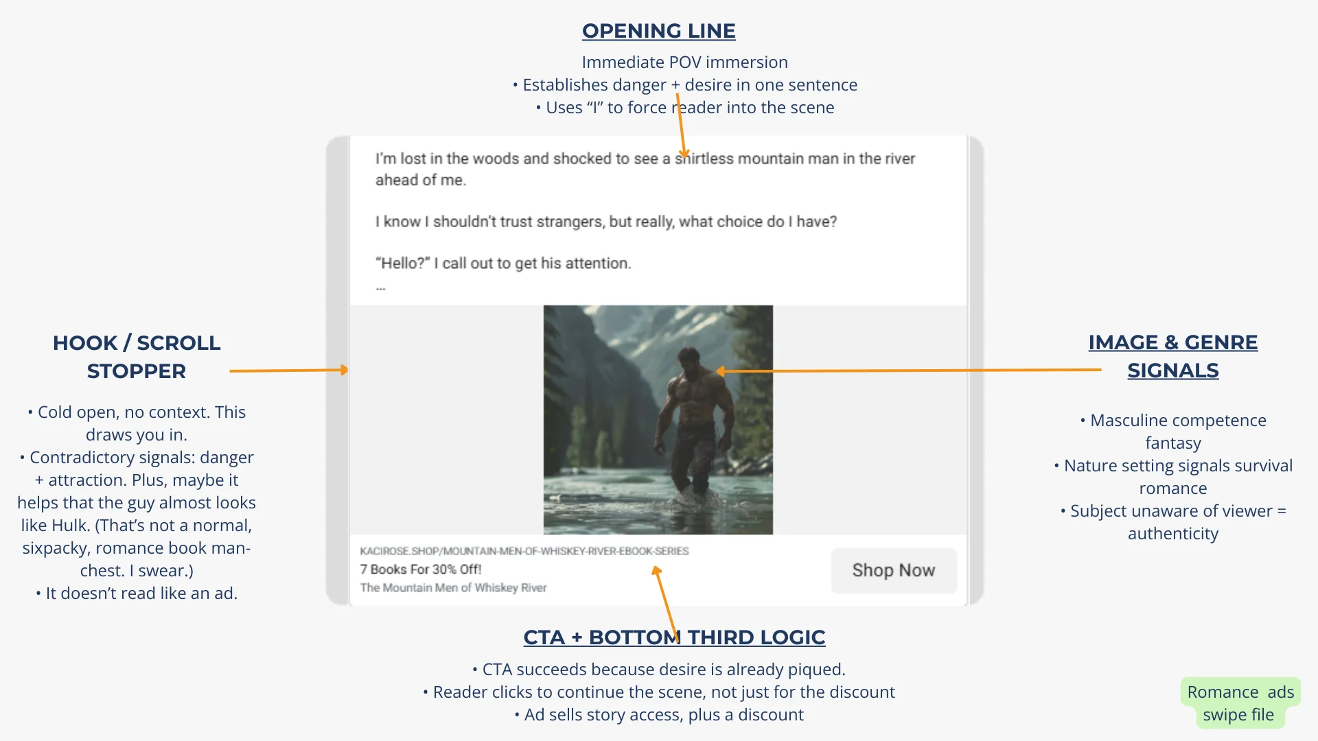 Ad Analysis Example 1