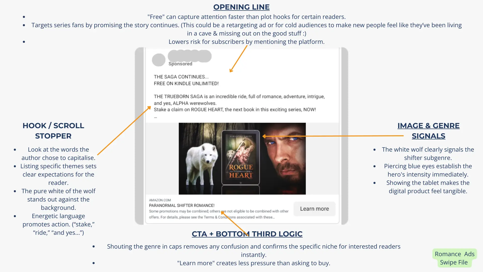 Ad Analysis Example 3